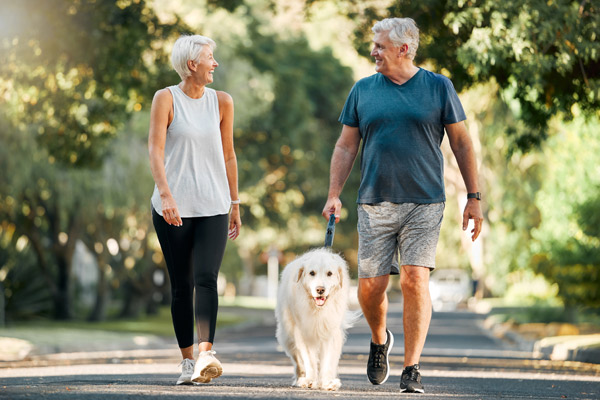 Mature couple walking a dog